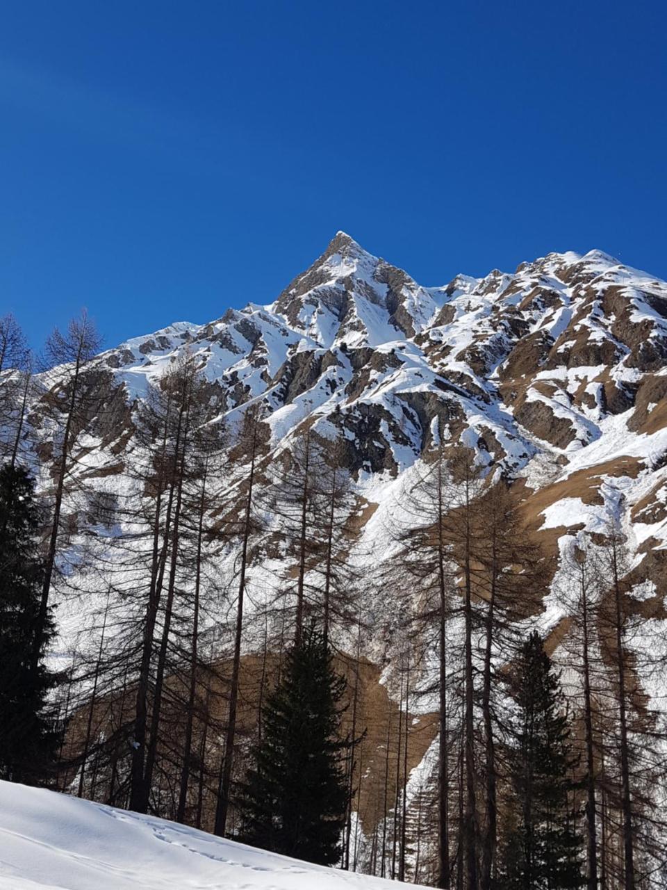 Apart-garni Motnaida Appart hôtel